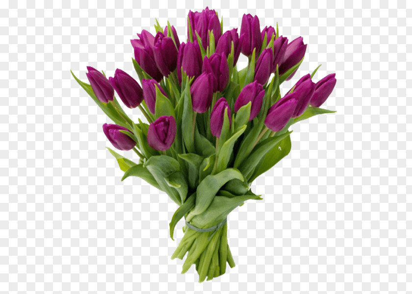 Tulip Flower Bouquet Gift Purple PNG