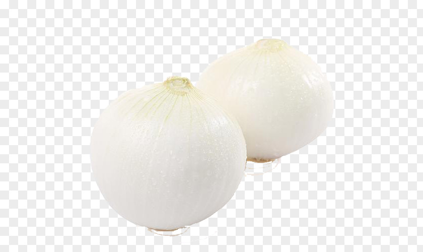 White Onion Vegetables Vegetable PNG