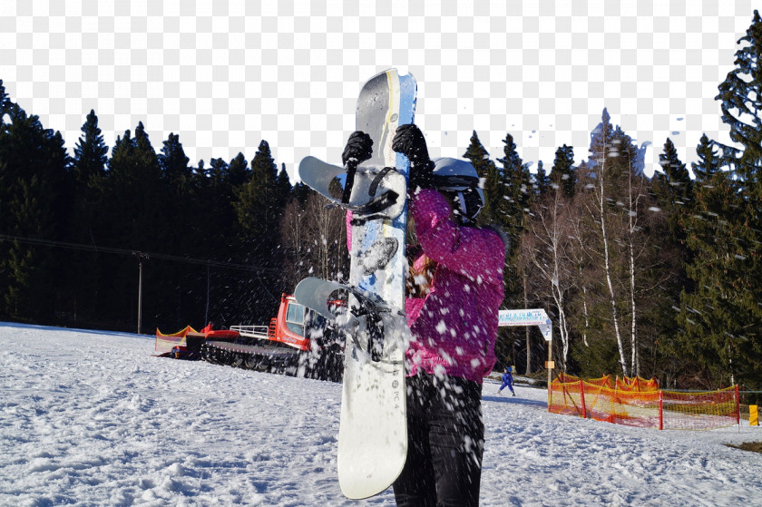 Winter Skiing Nordic Sport Snowboarding PNG