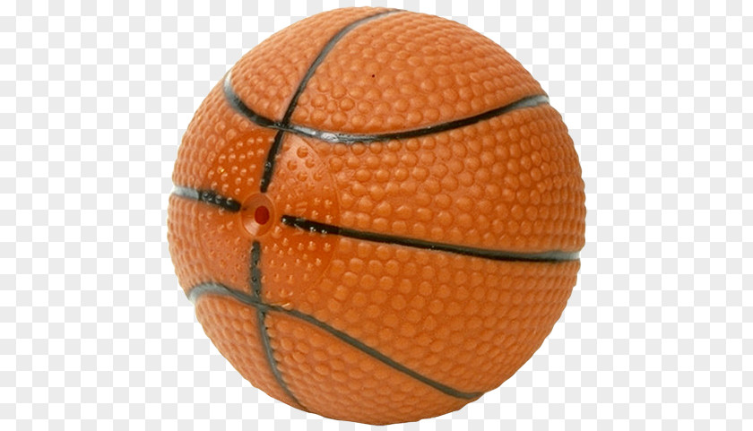 Ball Basketball Sport Football Volleyball PNG