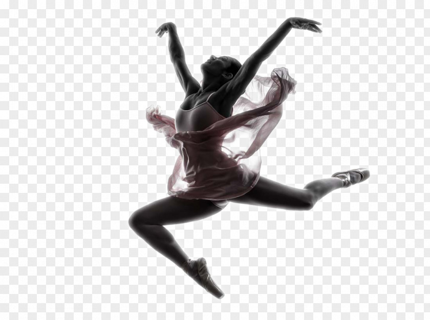 Ballet Beauty Dancer Stock Photography Royalty-free Silhouette PNG