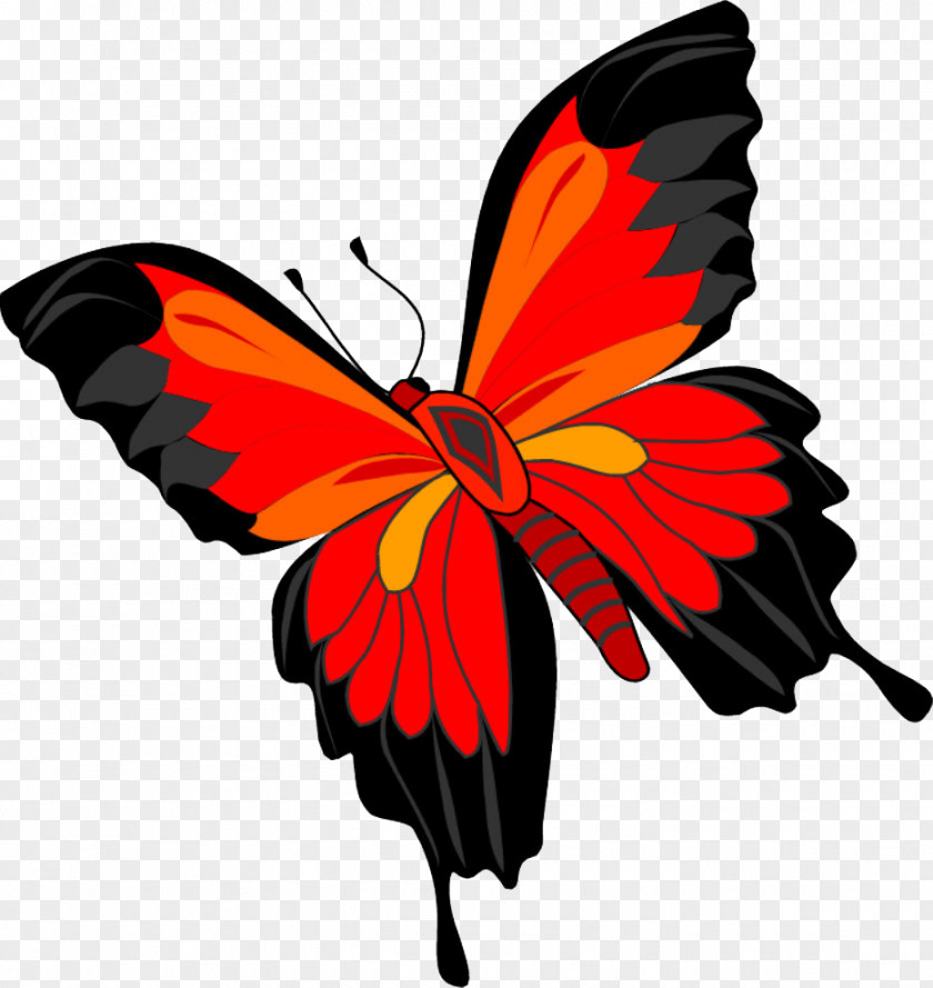 Butterfly Image Clip Art PNG
