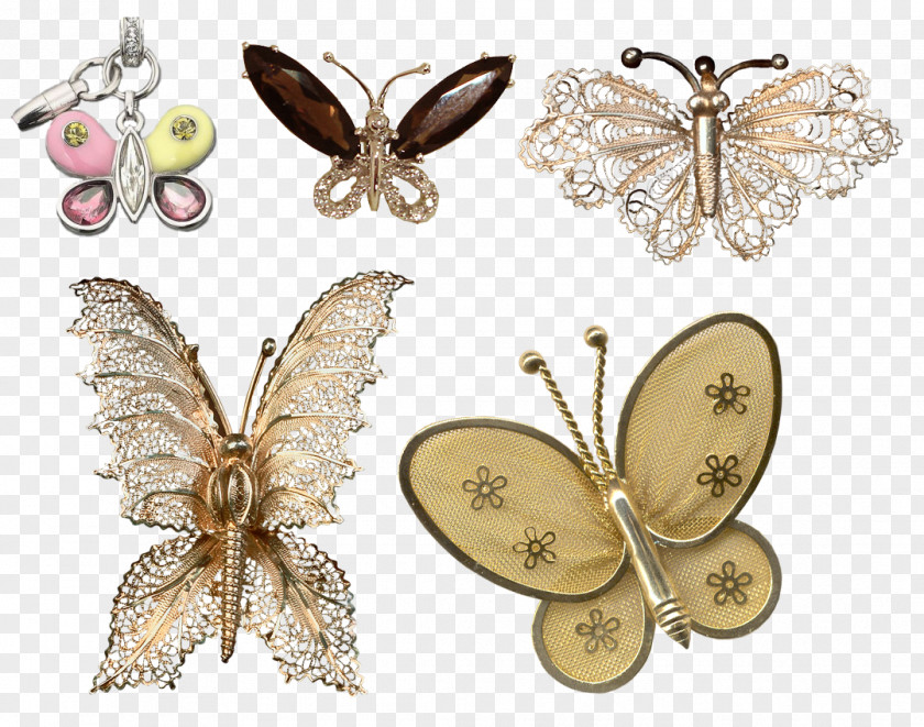 Butterfly Moth PNG