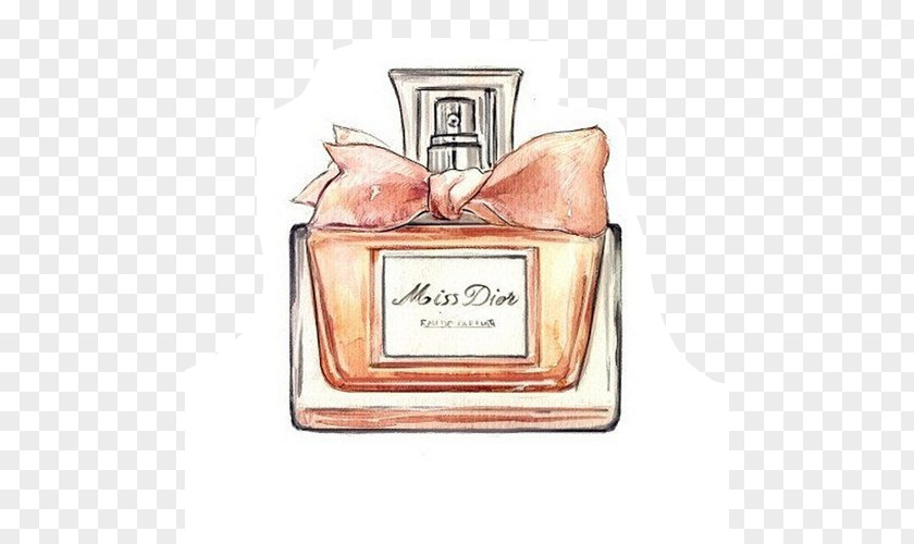 Chanel Coco Perfume Drawing Watercolor Painting PNG