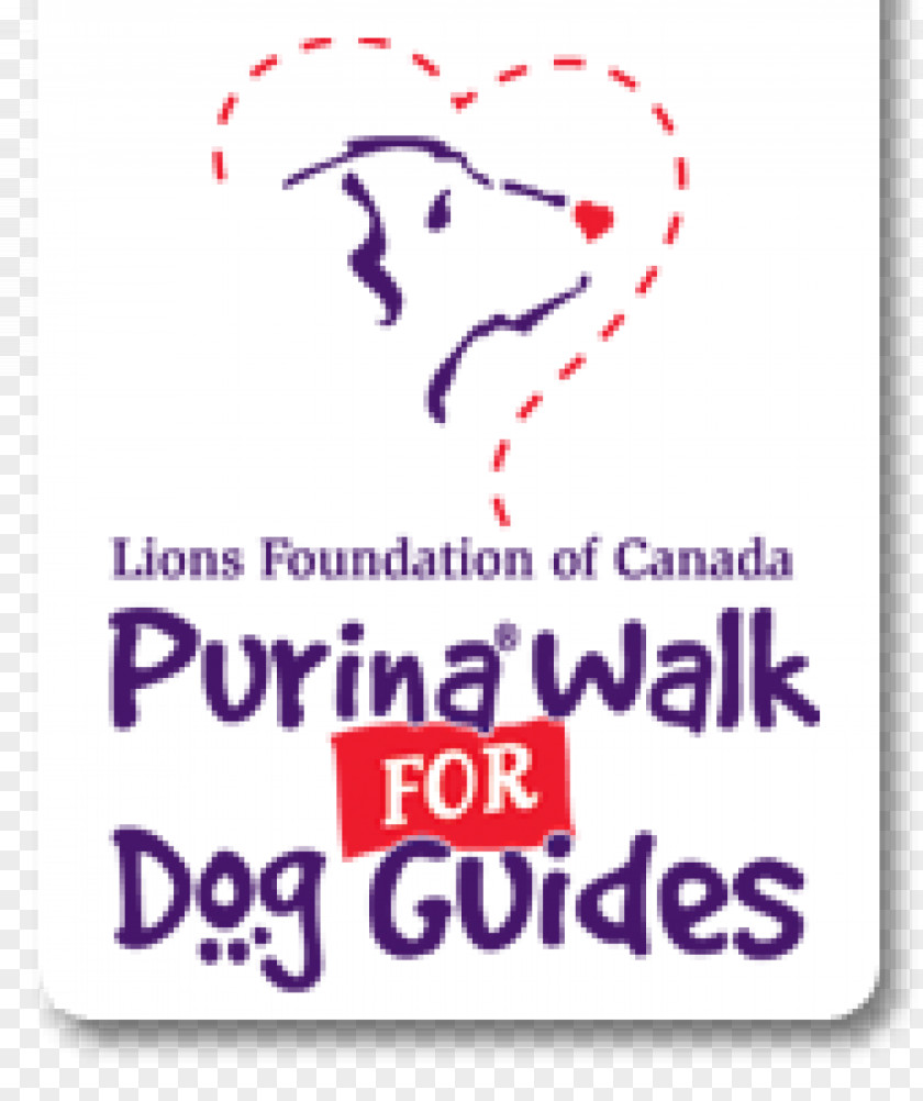 Guide Dog Labrador Retriever Pet Sitting Lions Foundation Of Canada Guides PNG