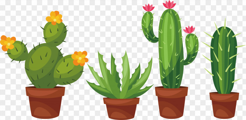Hand-painted Palm Potted Cactus Succulent Plant Cactaceae Prickly Pear Clip Art PNG
