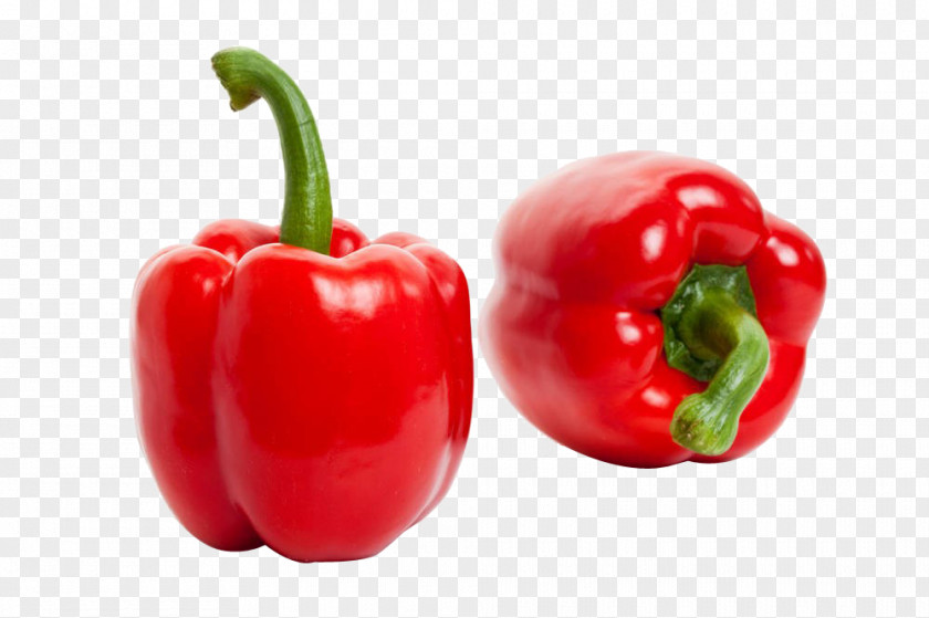 HD Clips Red Bell Pepper Habanero Birds Eye Chili Cayenne Tabasco PNG