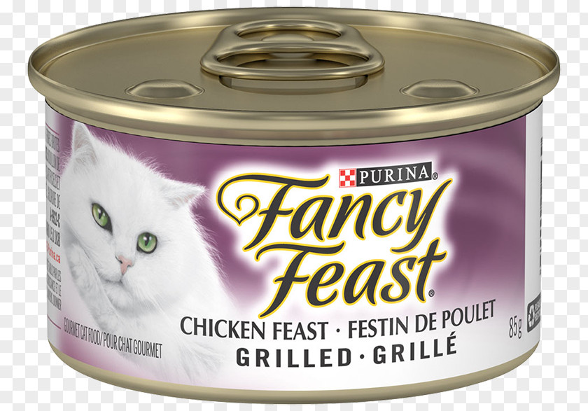 Meat Fancy Feast Gourmet Dry Cat Food Pâté Flavor PNG