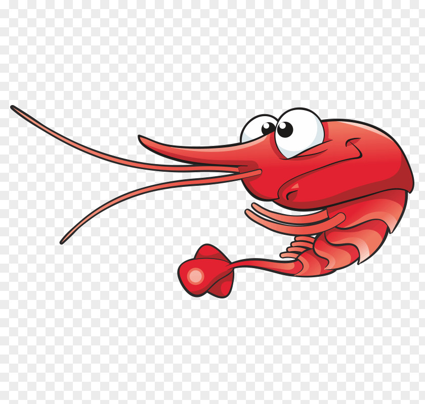 Shrimp Cartoon Drawing Clip Art PNG