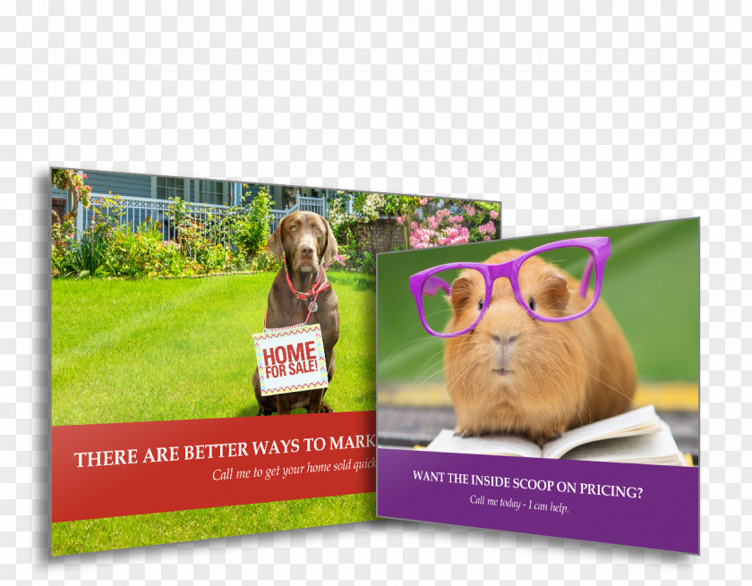 Stationary Advertising Brand Brochure PNG