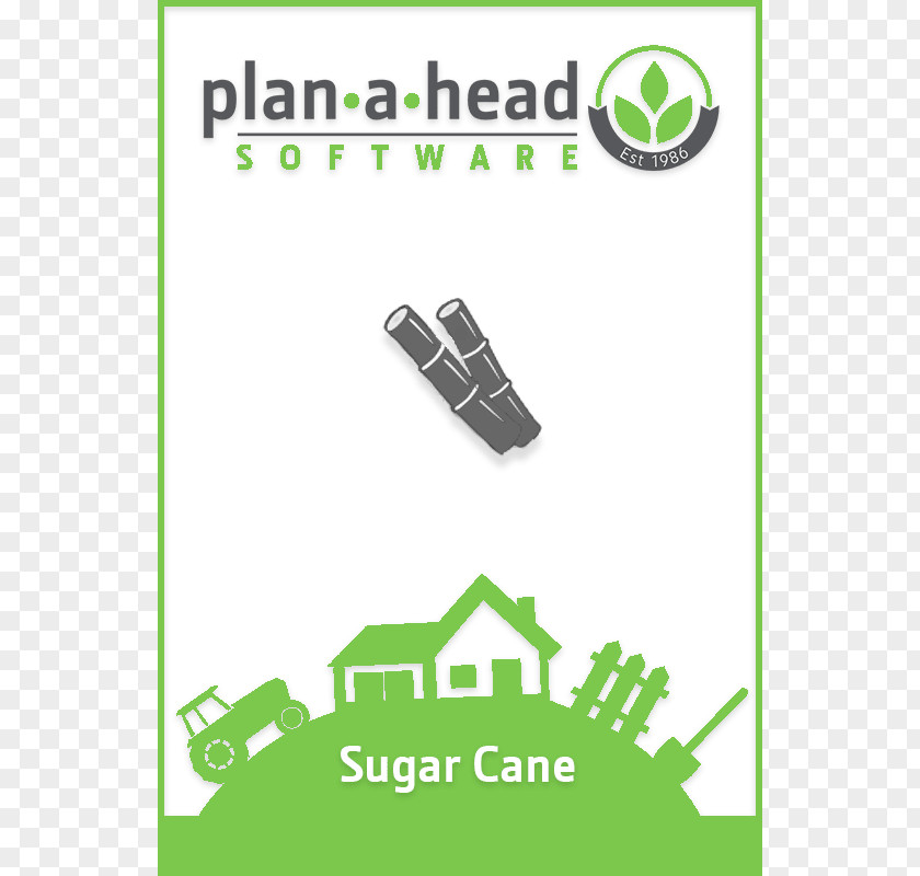 Sugar Cane Computer Software Management Information Technology Data PNG