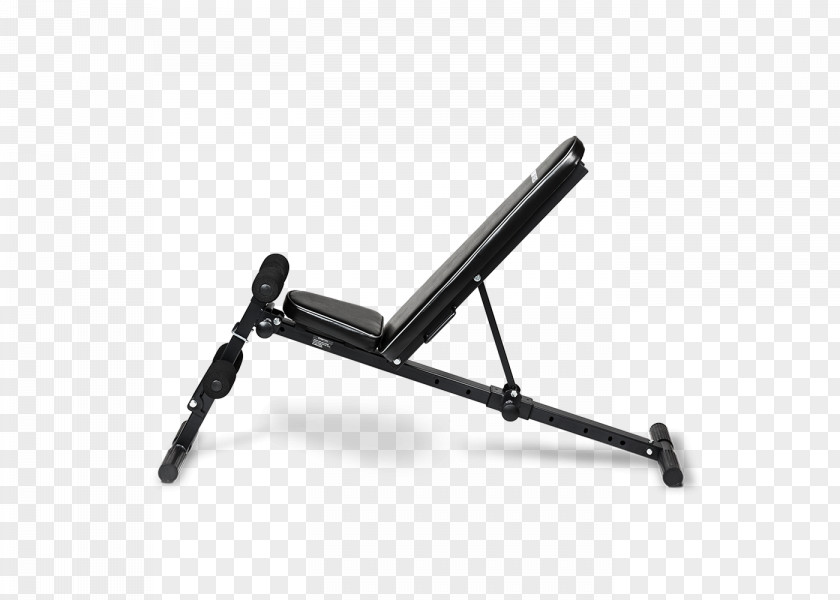 Bench Exercise Equipment Fitness Centre Physical Furniture PNG