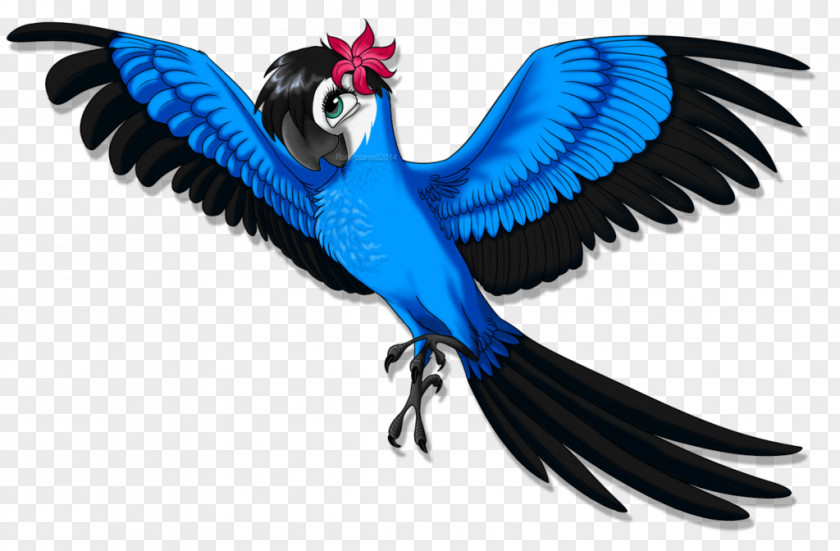 Bird Spix's Macaw Jewel Drawing PNG