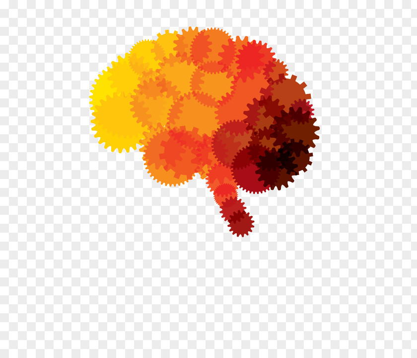 Brain Human Abstraction Idea PNG