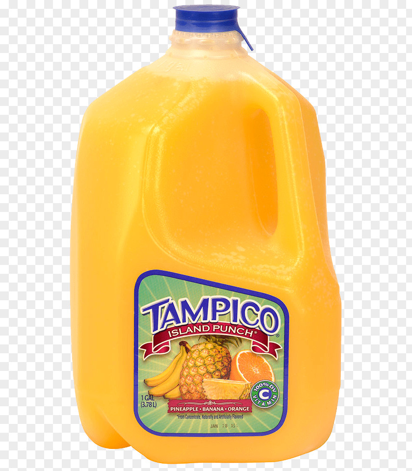 Citrus Orange Juice Land O'Lakes Punch Lemonade PNG