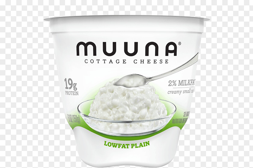 Milk Cream Cottage Cheese Butterfat Curd PNG
