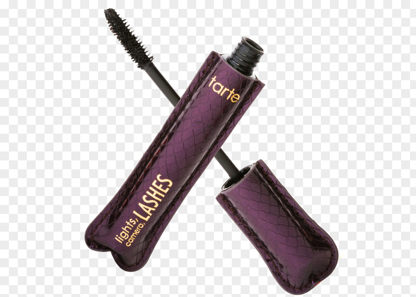 Tarte Mascara Subscription Box Business Model Cosmetics Product Spring PNG