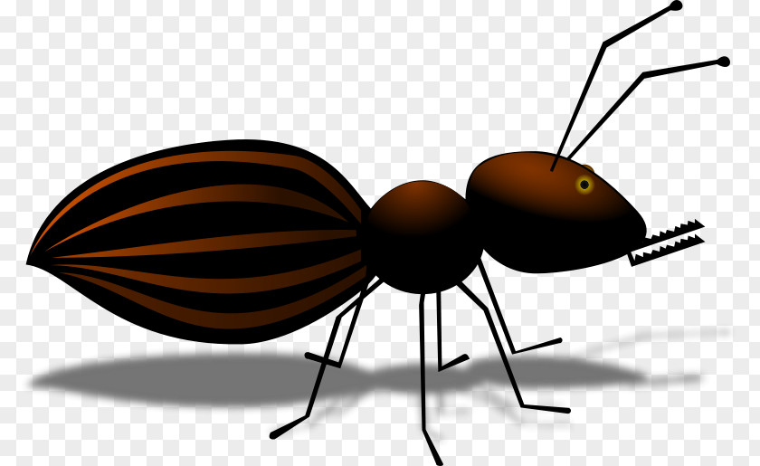 Ant Line Insect Cartoon Clip Art PNG