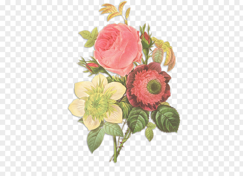 Flower Floral Design Rose Vintage Clothing Etsy PNG