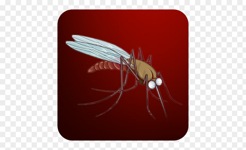 Mosquito Sonic The Hedgehog Fly Birdie Android PNG