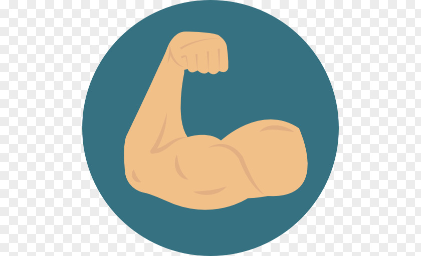Muscle Arm PNG