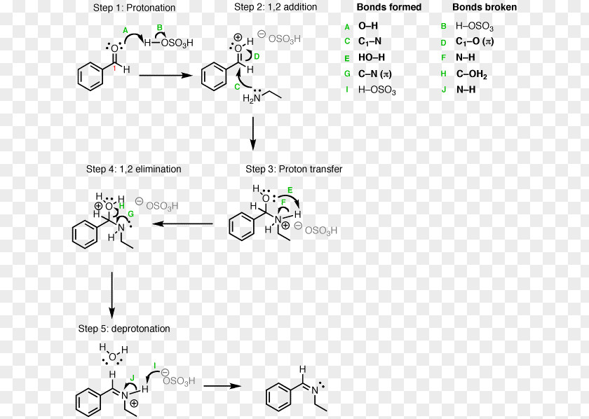 Reductive Amination Sodium Borohydride Imine Cyanoborohydride PNG