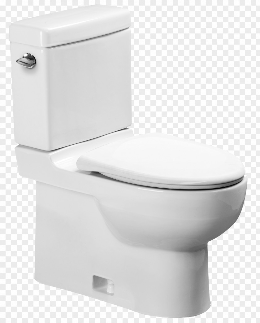 Toilet & Bidet Seats Dual Flush Villeroy Boch PNG
