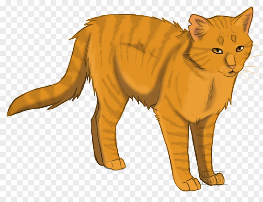 Cat Into The Wild Last Hope Warriors Lionblaze PNG