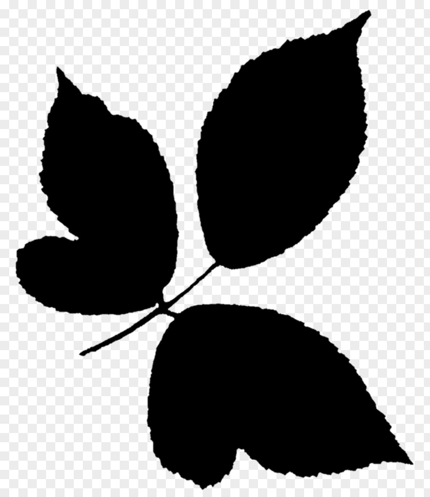 Clip Art Flowering Plant Silhouette Leaf PNG