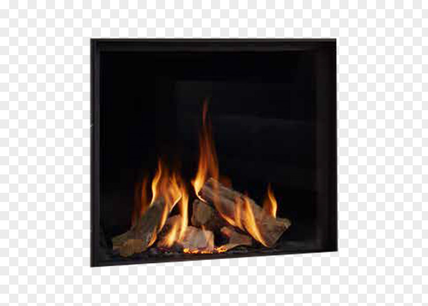 Double Twelve Display Model Flames And Fireplaces Maestro PNG