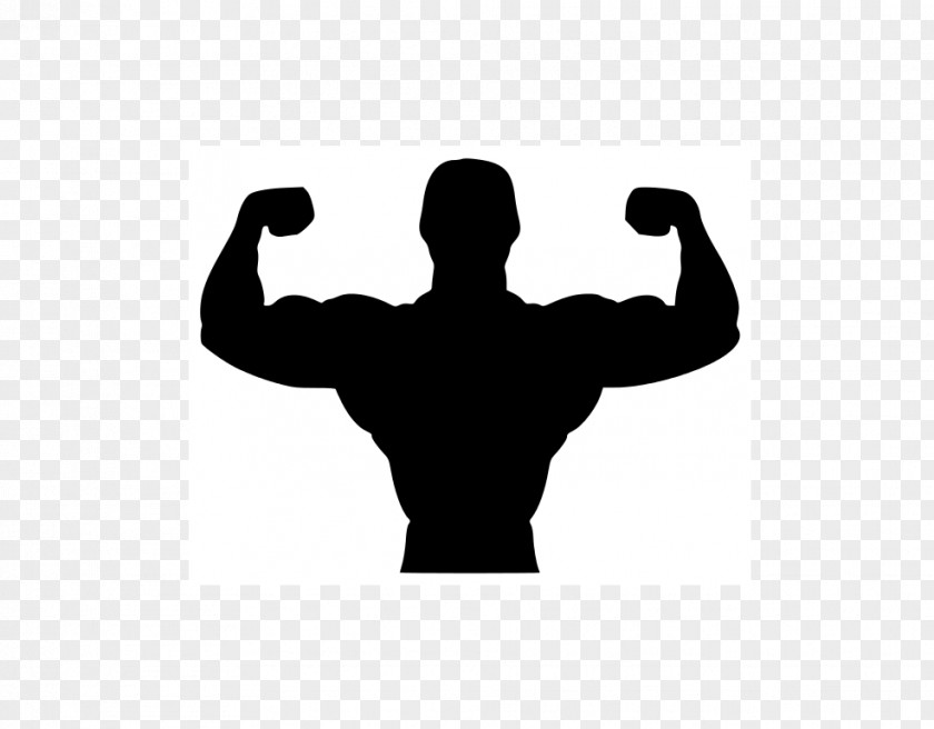 Excersice Bodybuilding Physical Exercise Fitness Centre Clip Art PNG