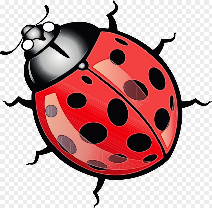 Ladybird Beetle Cartoon Drawing Volkswagen New PNG