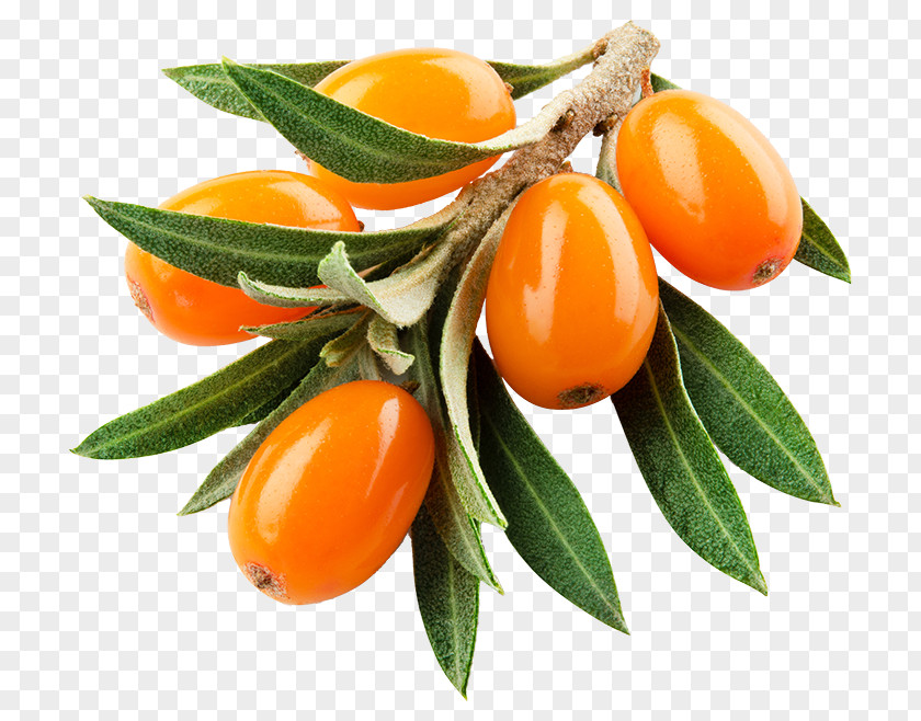 Mandarin Orange Natural Foods Flower PNG