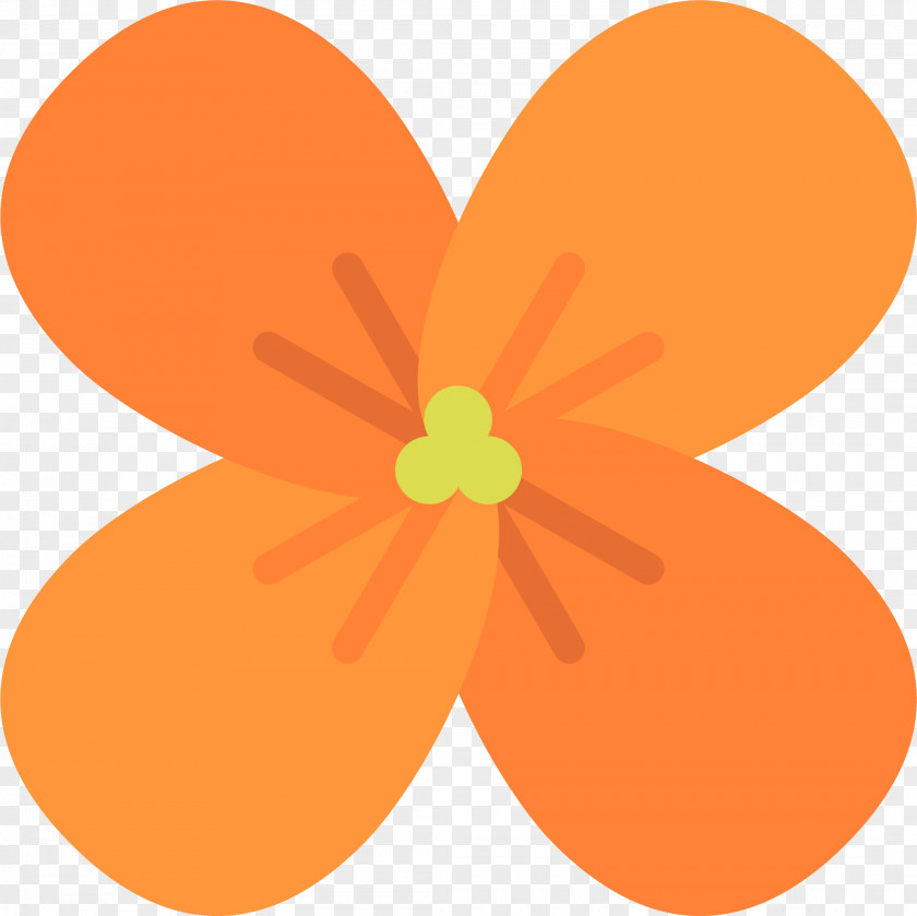 Orange Petal Blossom Citrus × Sinensis Flower PNG