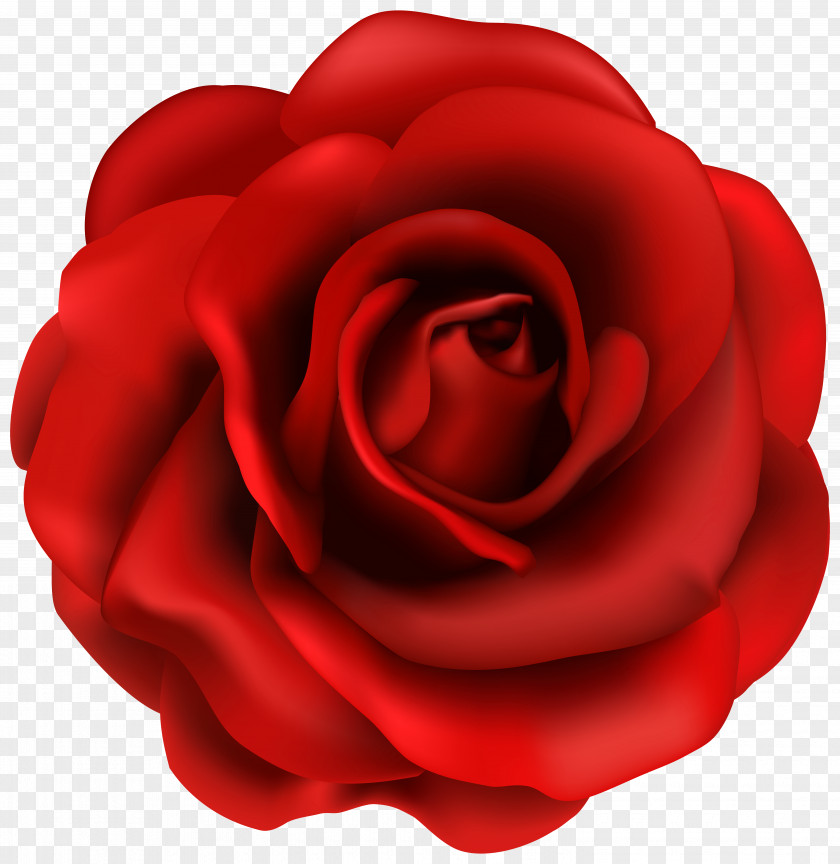 Red Flowers Cliparts Rose Flower Clip Art PNG