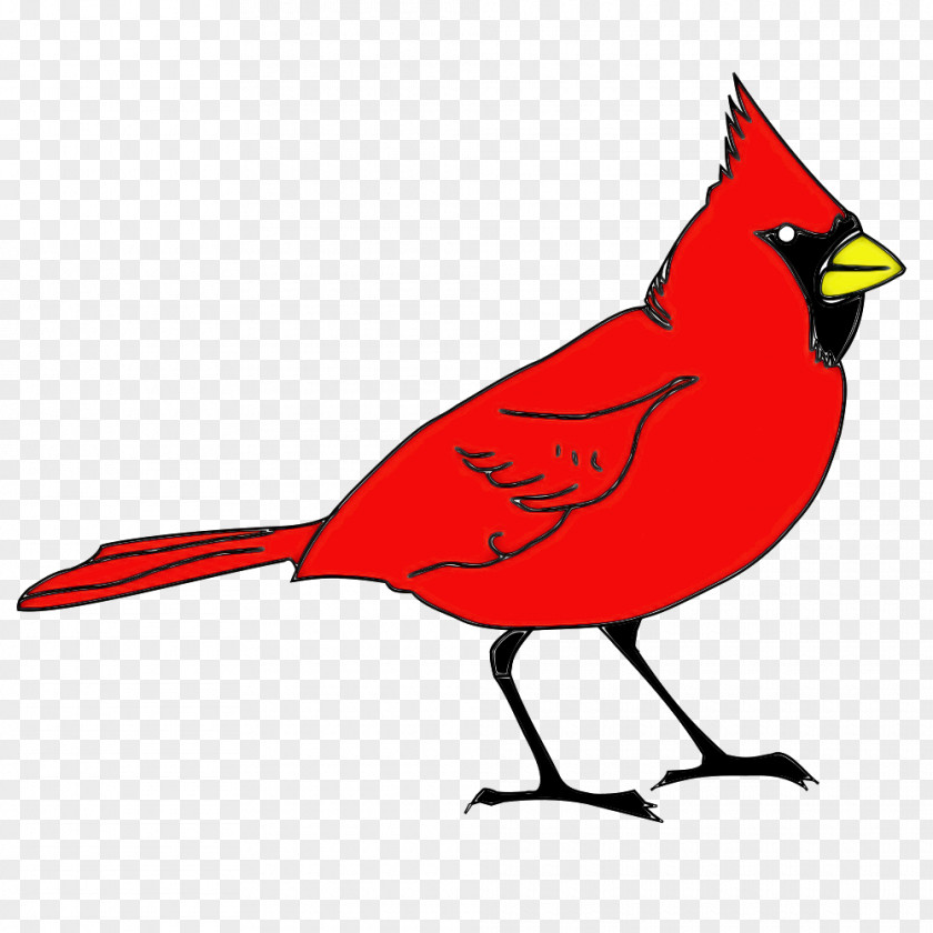 Bird Northern Cardinal Beak Songbird PNG