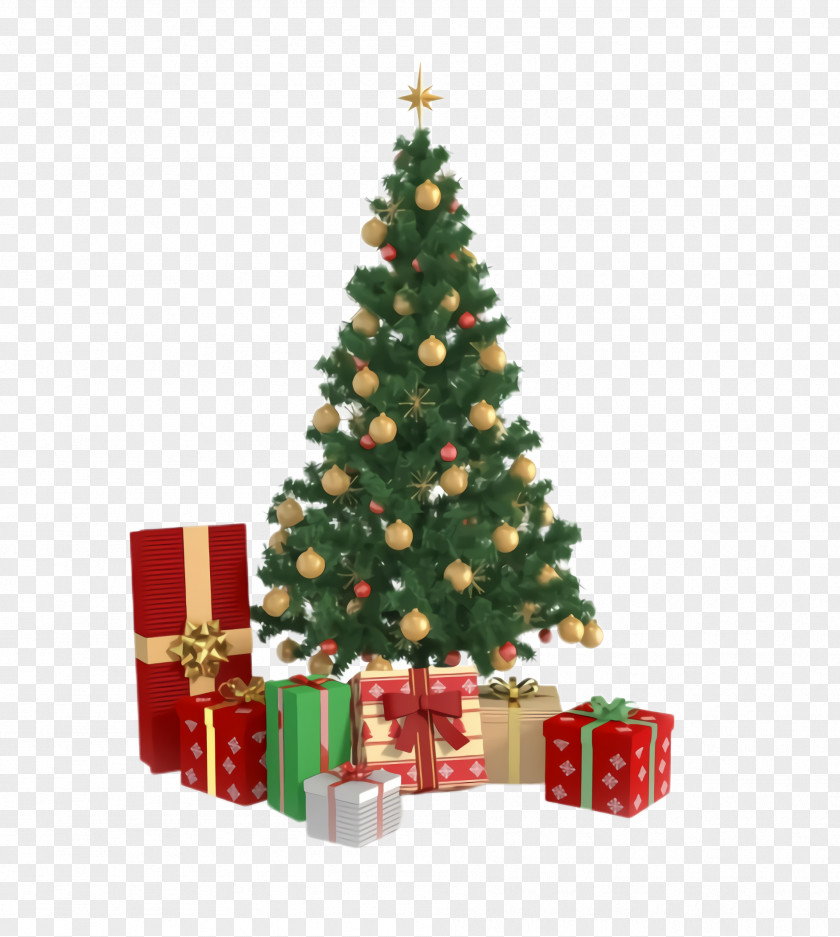 Pine Fir Christmas Tree PNG