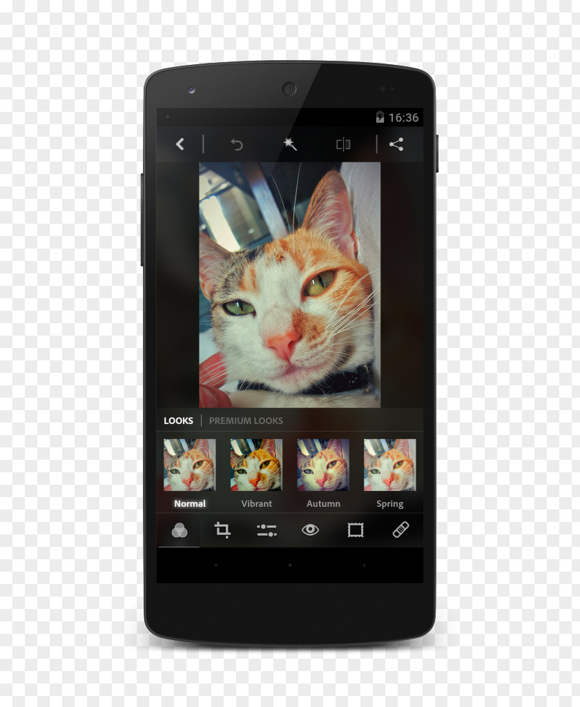 Smartphone Feature Phone Cat Multimedia Electronics PNG