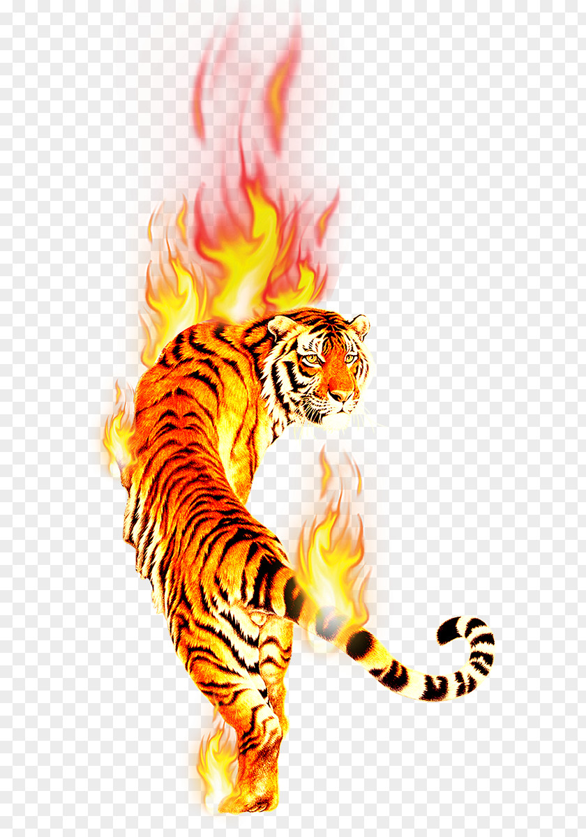 Tiger Desktop Wallpaper Clip Art Image PNG