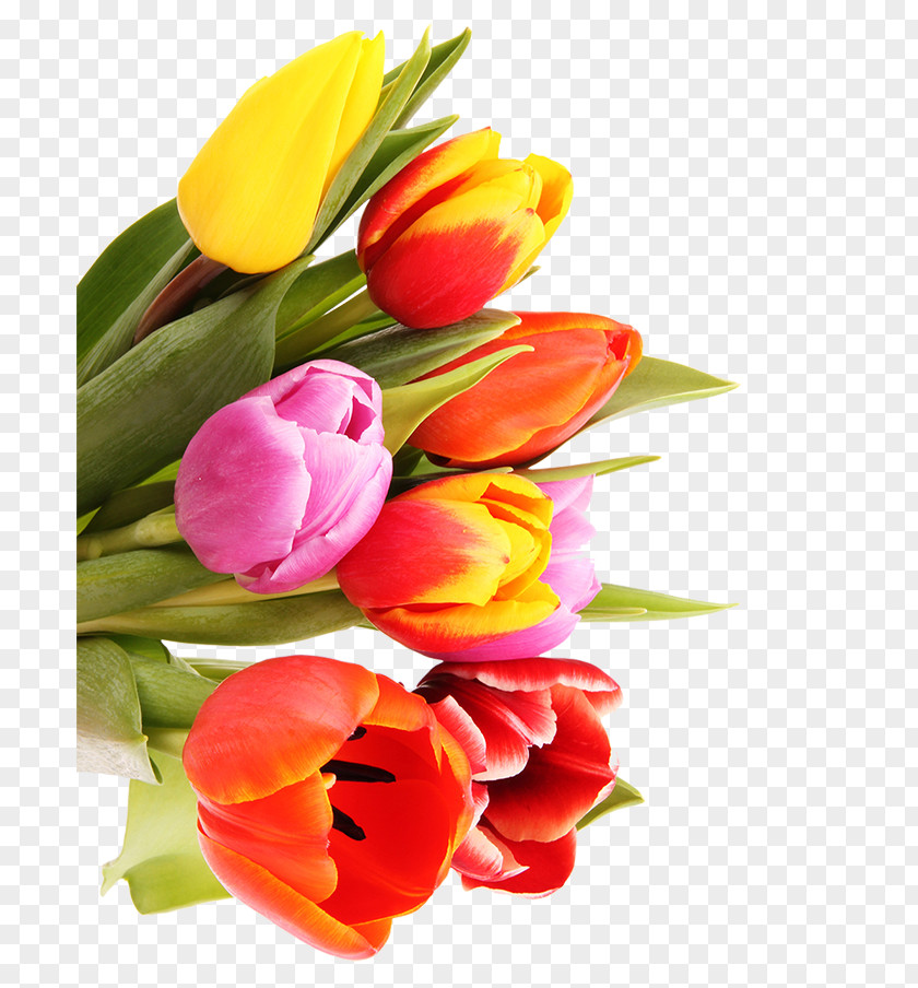 Tulip Flower Bouquet Cut Flowers Floral Design Nosegay PNG