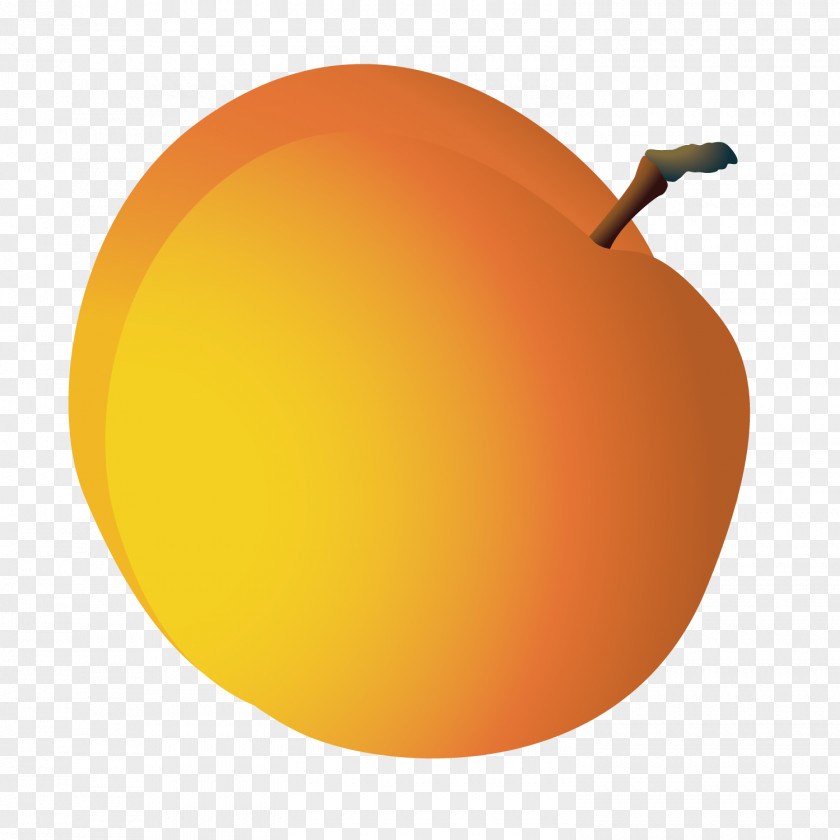 Cartoon Grapefruit Orange Pomelo PNG