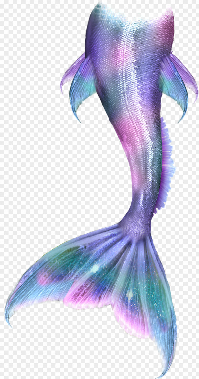 Mermaid,tail Mermaid Merliah Summers Merman Clip Art PNG
