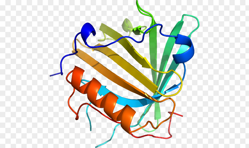 Methylmalonylcoa Clip Art Product Organism Line PNG