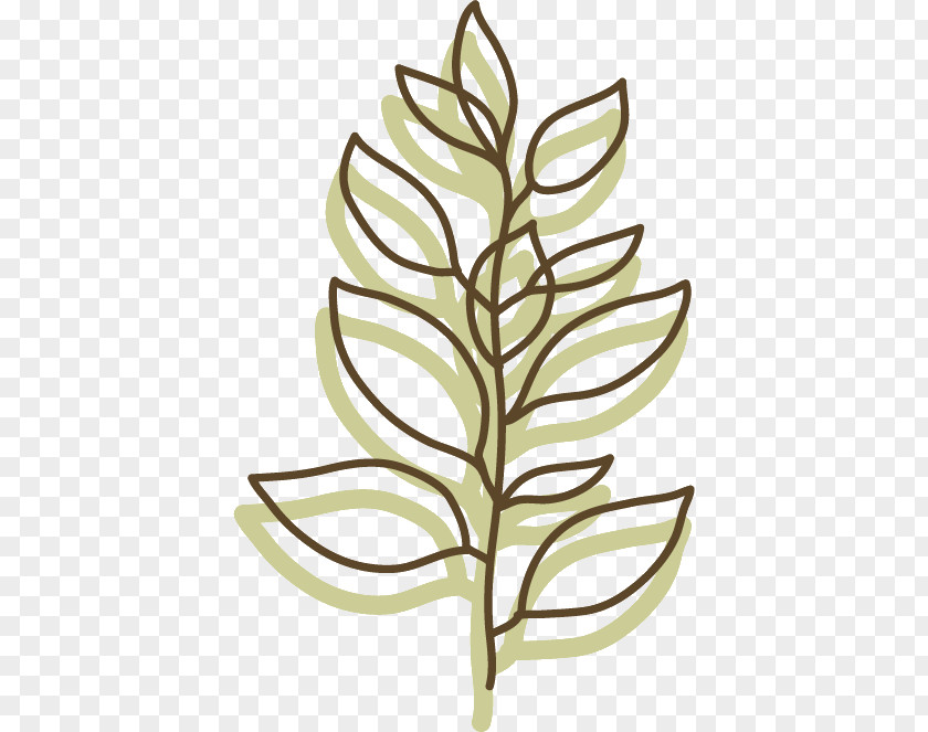 Twig Cartoon Leaf Plant Stem Branch PNG