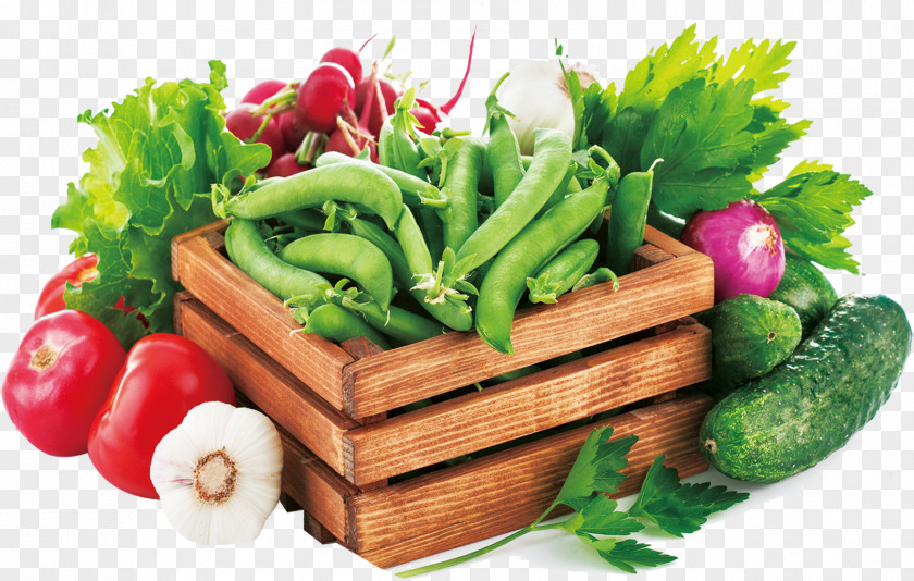 A Variety Of Organic Vegetables PNG variety of organic vegetables clipart PNG