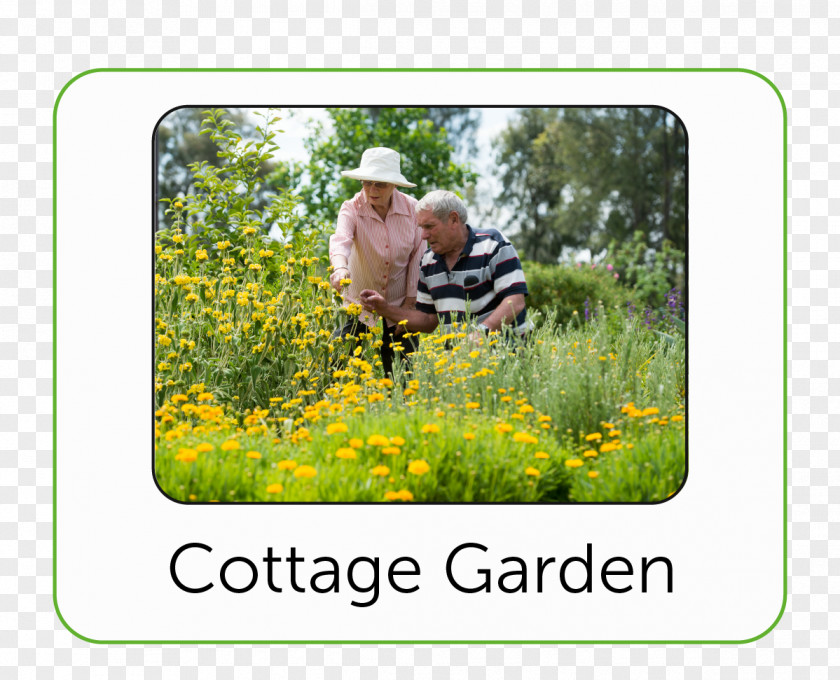 Botanic Garden Bendigo Cottage Botanical Lawn PNG