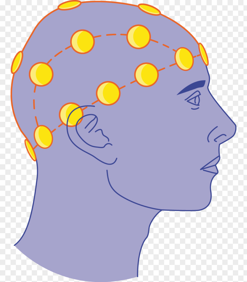 Brain Electroencephalography Medical Equipment Electrode Clip Art PNG