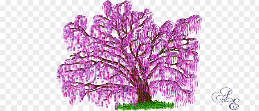 Dwarf Weeping Willow Tree Embroidery Stitch Winter PNG