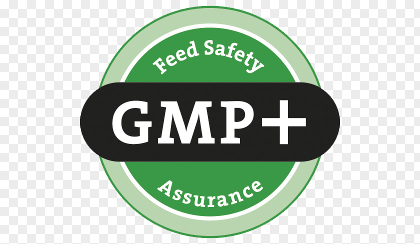 Gmp Good Manufacturing Practice Certification Quality Management Logo Technical Standard PNG