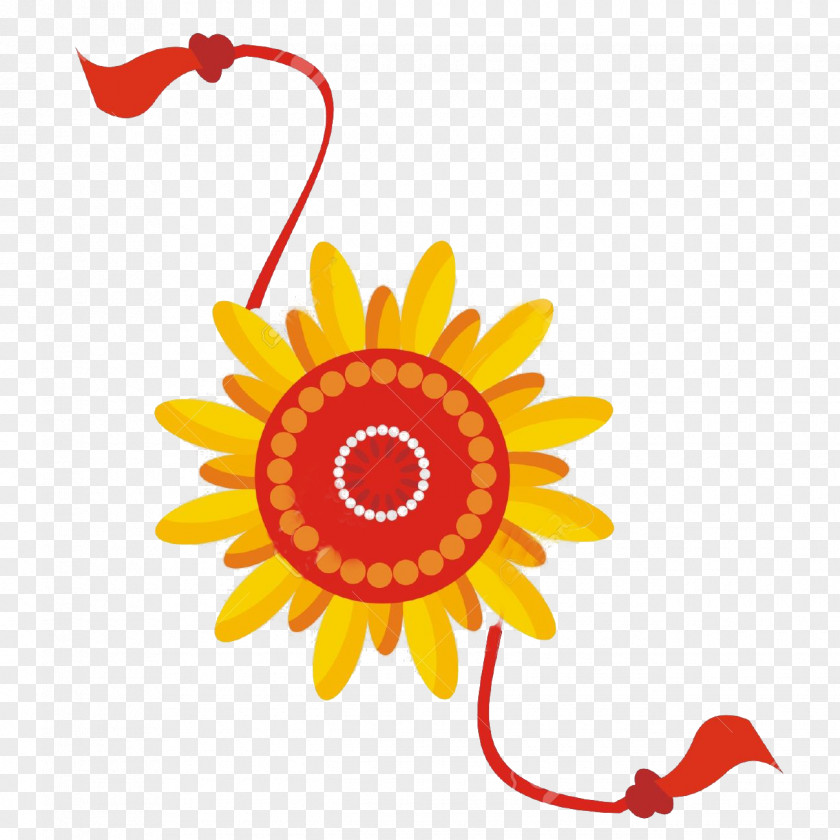 Plant Gerbera Orange PNG